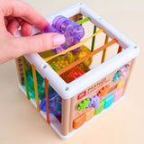 BrainCube : le cube 5-en-1 : Éveil, Jeux et Découvertes