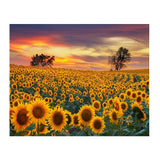 FlowerPuzzle : Puzzle 2000 Pièces - Idéal pour la Concentration et la Détente